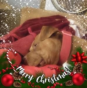 Meet your Posher, Clinton